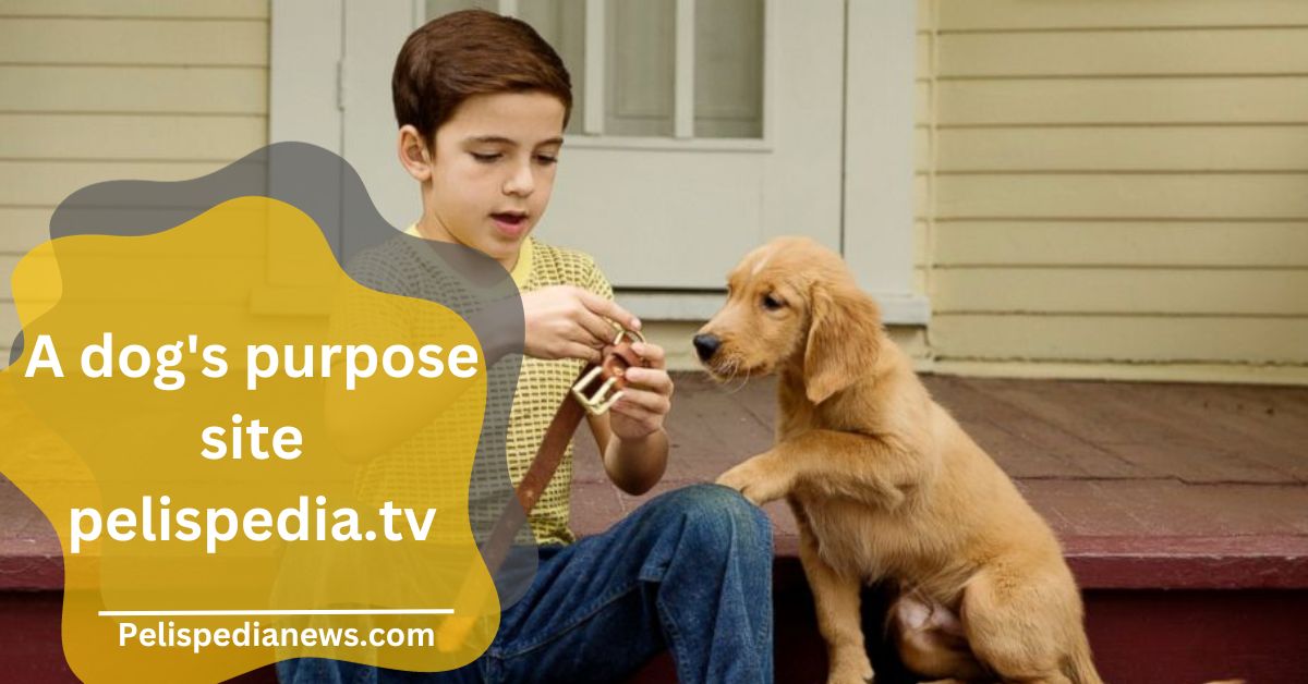 A dog's purpose site pelispedia.tv